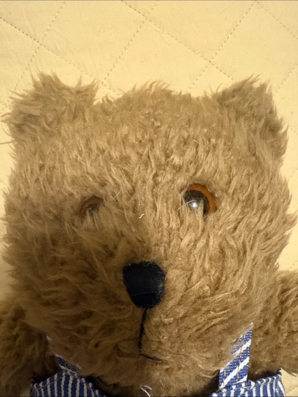 OshKosh B'gosh Brown Bear Plush in Blue Striped Overalls